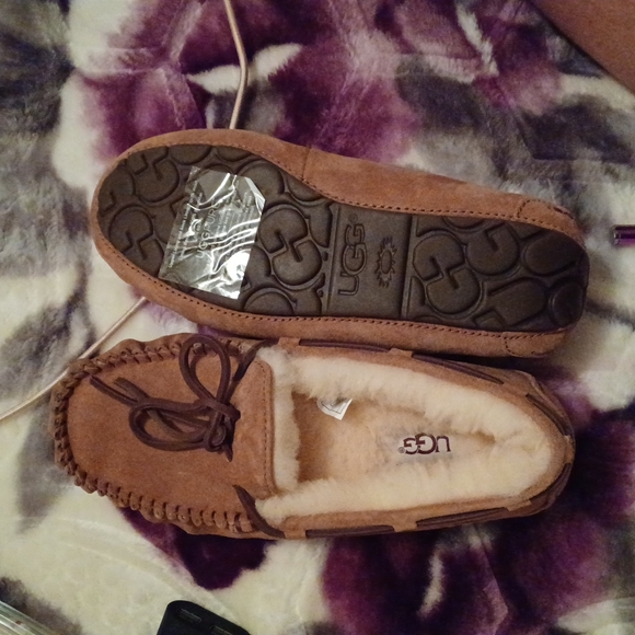 UGG Shoes Brand New Ugg Slippers Size 5 Poshmark